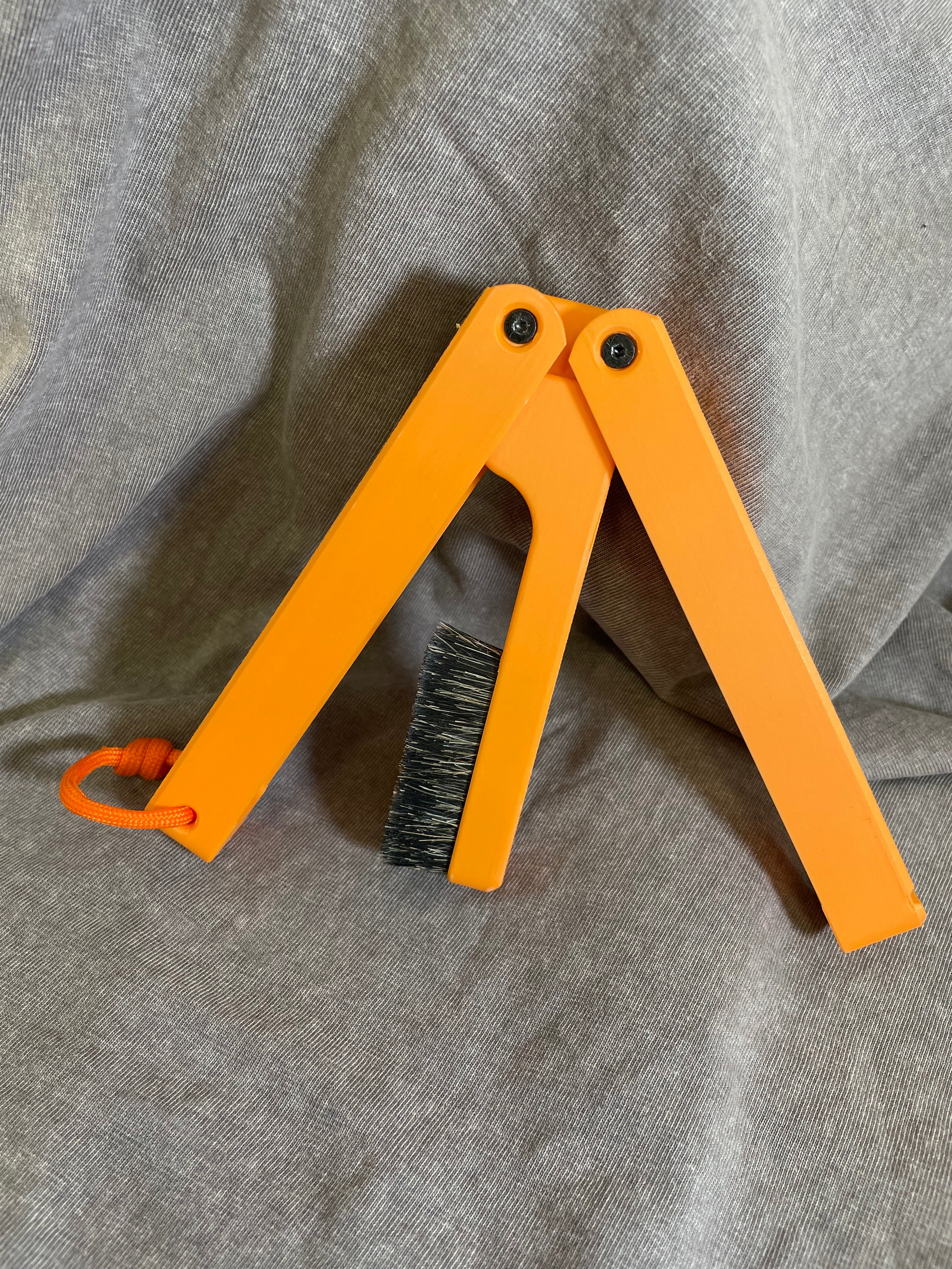 Sunset Orange Butterfly Brush
